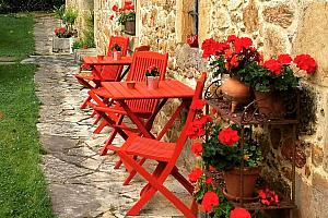 Chairs in the garden